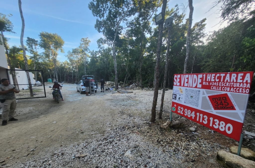 Prime 1-Hectare Lot for Sale in Tulum – Region 15 | Ideal for Developers